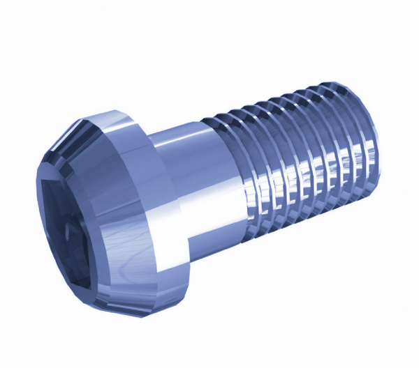 Vis à tête hexagonale M20x40 mm pour Lindner